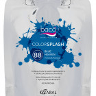 colorsplash_88